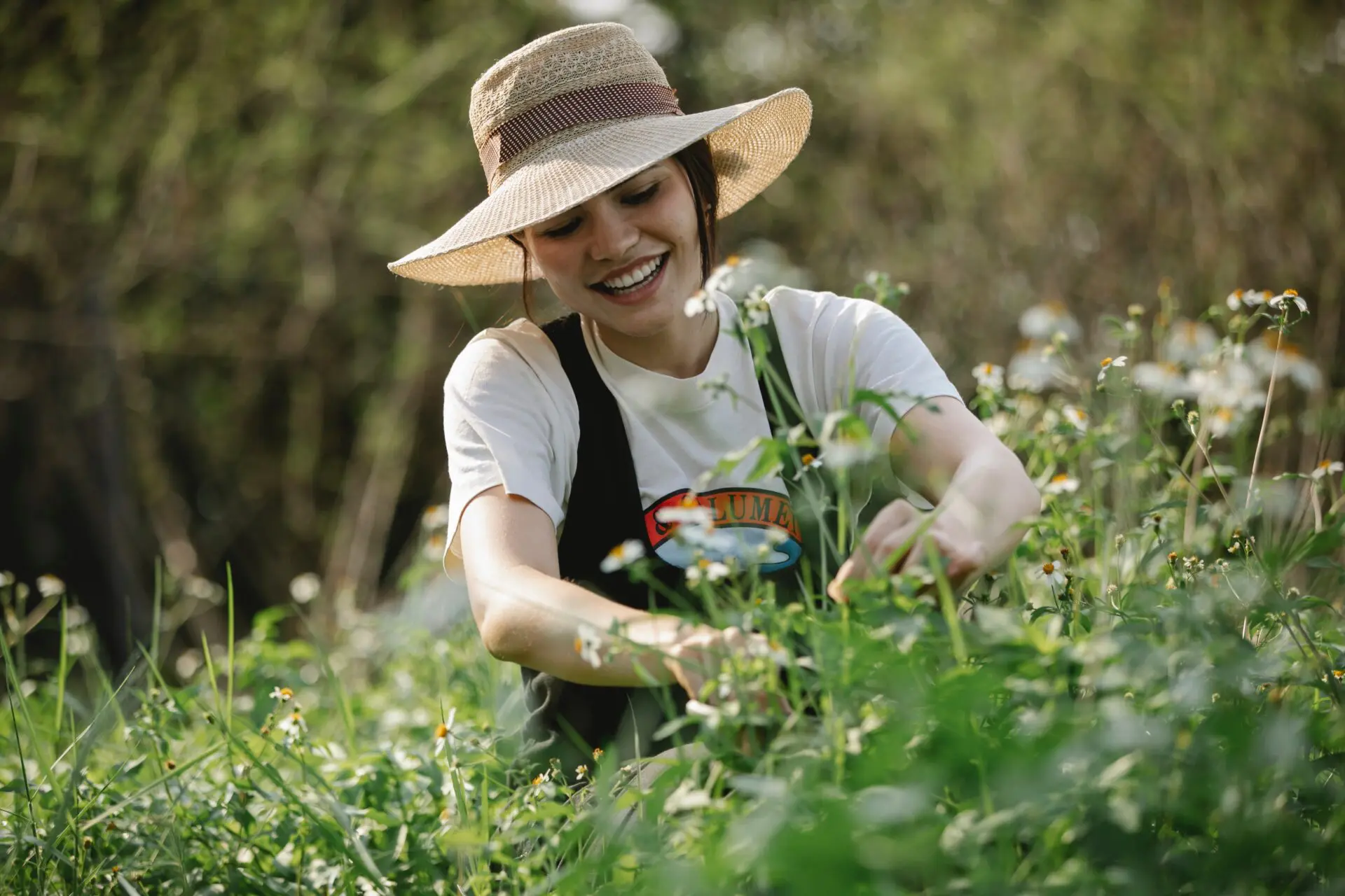 jardinage-autun-service-plus